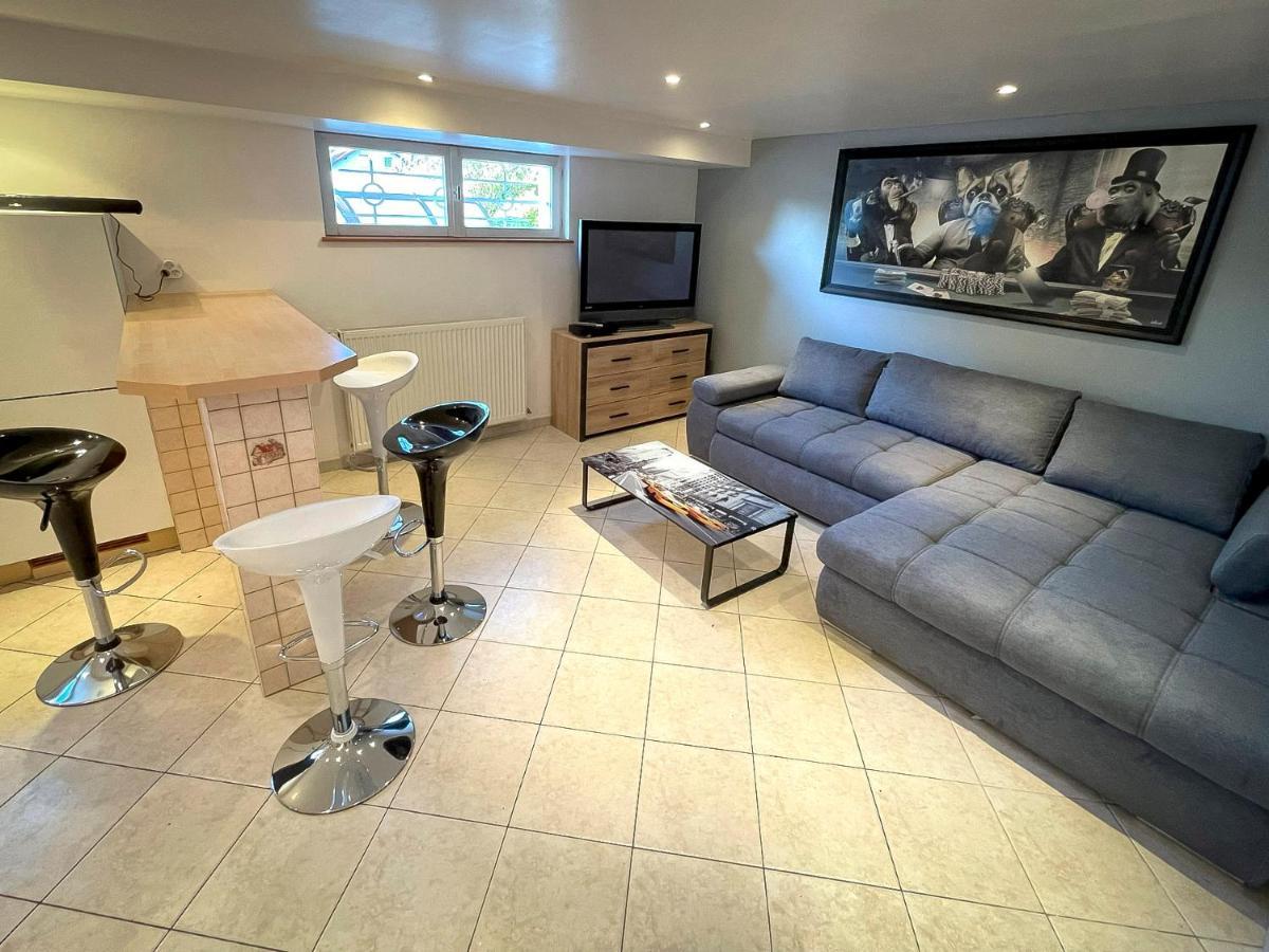 Villa 250M2 Avec Piscine Chauffee & Spa & Kota-Grill & Sauna Saint-Die-des-Vosges المظهر الخارجي الصورة